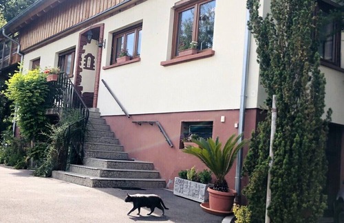 Bischwiller Casa | Maison du Ried-Casa-Vista al Jardín-Familiar-Habitación con desagüe