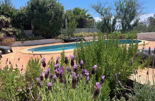 Boliqueime Villa | Bonita villa con piscina privada y jardín (24005 / AL)