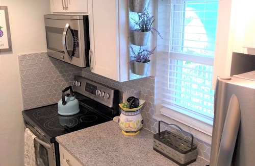 Dunedin Condominio | Price Reduction! Ocean Breeze Retreat for Spring, Summer & Fall Rental