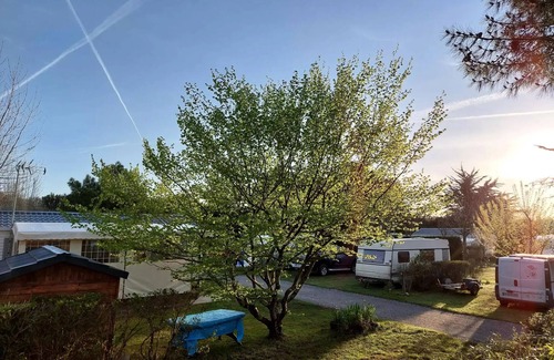 Les Moutiers-en-Retz Casa | Prigny Campsite*** - Ecolodge 3 Rooms 4 People Without sanitary facilities