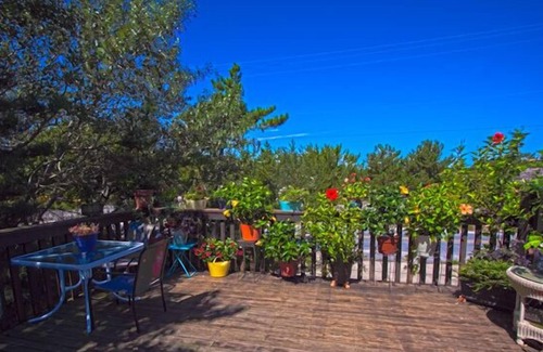 Cape May Point Casa | Ubicación del primer bloque de playa frente al océano. ¡Del 14 al 21 de septiembre todavía está disponible!