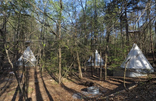Dandridge Alquiler De RV | Primitive, rustic, tipi glamping & nature immersion retreat~ Historic Dandridge