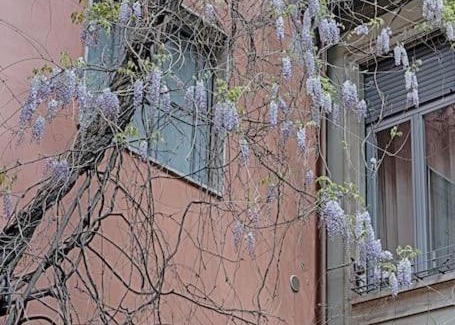 Porta Genova Apartamento | PrimoPiano - Ariberto