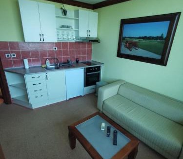 Grbavica Apartamento | Princ Apartman