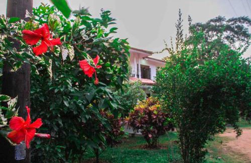 Sigiriya Casa | Prince Villa Sigiriya