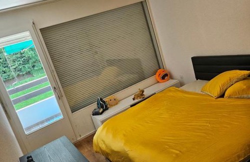 Studen Casa | Princess luci