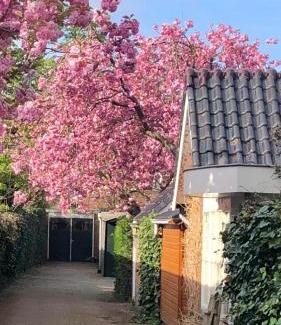 Sassenheim Casa | Prins Heerlijk
