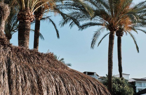 Muro Apartamento | Prinsotel La Dorada