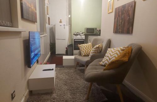 Birmingham Apartamento | Private 1 Bed Flat Near The Aston Villa Park