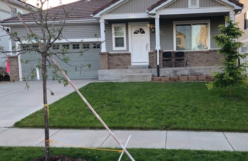 Green Valley Ranch Casa | Private and Cozy Basement Suite: 12 Mins From DIA