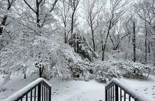 Commack Cabina | Private Cabin in Multi Acre Park!