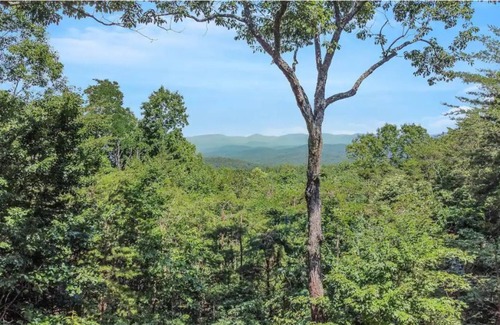 Owl Town Retreat Cabina | Private Cabin, Mtn view, hot tub, game room, fire pit