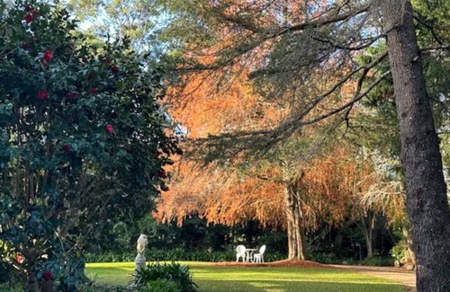 North Tamborine Cabaña | Private cottage inside Avalon Gardens estate, stroll to Gallery Walk