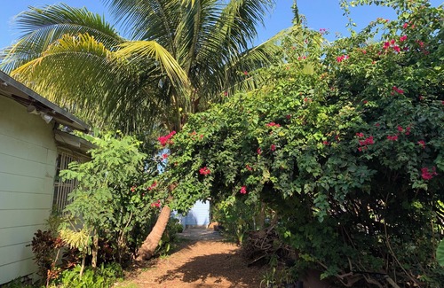 Little Haiti Cabaña | Private cottage in Miami