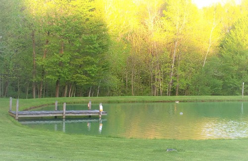 Kingsville Cabaña | Private Cottage on Bear Creek 100 acre Farm- hiking ,covered bridges,wineries