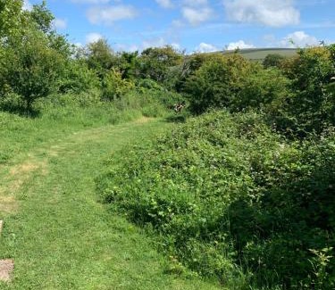 Rottingdean Casa | Private Countryside Holiday Cabin 10 mins from Brighton