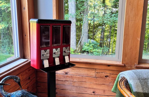 Newaygo Cabina | Private escape: log cabin with hot tub on 4 private acres