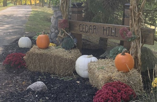 Webster Casa | Private Guest House on Mini Cow and Horse Ranch