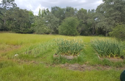 Granite Bay Casa | Private Lake Flower Farm 100 acres