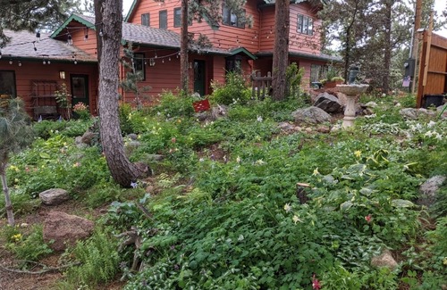 Allenspark Casa | Private Mountain Tranquility for large families near Rocky Mountain National Pk!