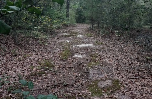 Cordova Alquiler De RV | Private Nature Oriented Campground