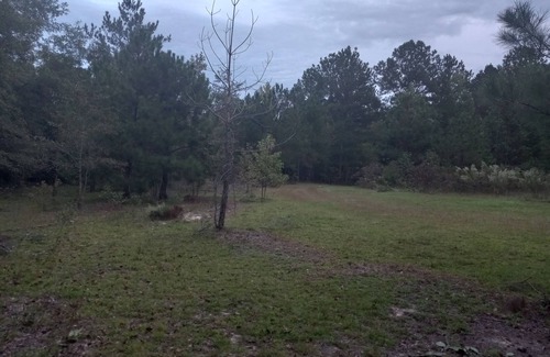 Cordova Alquiler De RV | Private Nature Oriented Campground