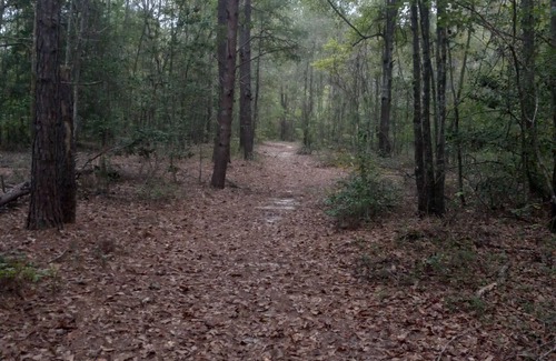 Cordova Alquiler De RV | Private Nature Oriented Campground