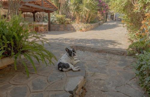 Agios Nikolaos Town Casa | Private Pet Friendly Villa