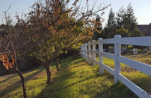 Paso Robles Casa | Paraíso privado con piscina cerca de las mejores bodegas y la diversión del centro ...