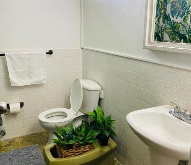 Caimito Cama Y Desayuno | Private Room and Bath for 2