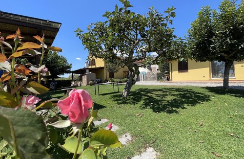 Pontedera Cama Y Desayuno | private room in garden outbuilding