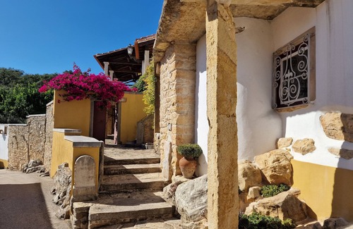 Tomar Apartamento | Private Room in Tomar (Pedreira) - Cow Room