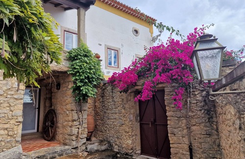Tomar Apartamento | Private Room in Tomar (Pedreira) - Cow Room
