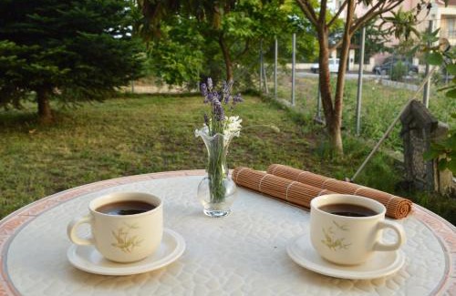 Ioannina Casa | Private Room Sunny Retreat with a Garden Terrace