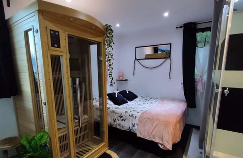 Gap Cama Y Desayuno | Private shower room, WC and entrance. spa sauna and swimming pool