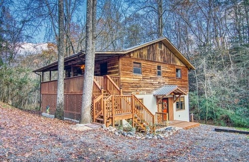 Cosby Cabina | Private - Spacious- Creek Lined Cabin