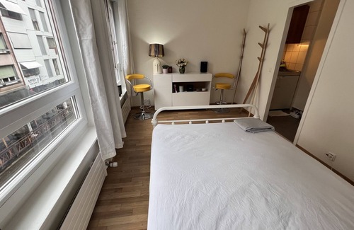 Downtown Geneva Apartamento | Private Stylish Studio City Centre Paquis