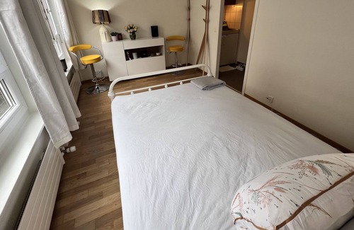 Downtown Geneva Apartamento | Private Stylish Studio City Centre Paquis