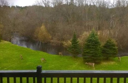 Pembine Apartamento | Private Suite Wisconsin Northwoods Getaway