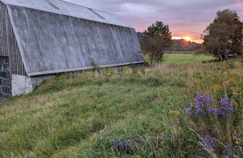 Osceola Alquiler De RV | Private tent camping along the Salmon River on 165-acre Farm!