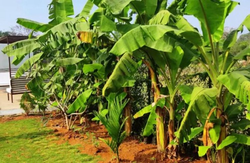 Alibaug Villa | Privy Stays - Bherse Villa
