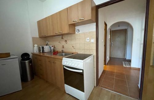 Jachymov Apartamento | PRO family simple