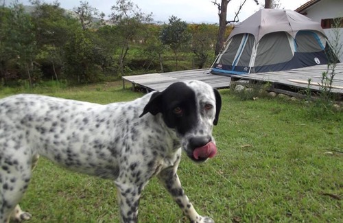 Villa de Leyva Casa | Procamp Glamping Villa de Leyva