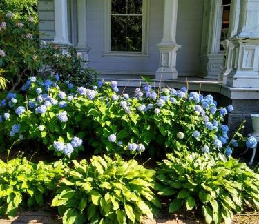 Wrentham Cama Y Desayuno | Proctor Mansion Inn