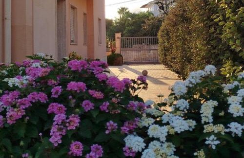 Alcamo Marina Casa | Profumo di Mare 1