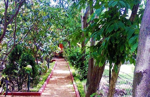 Bolpur Hotel | Prokriti Bon Bungalow