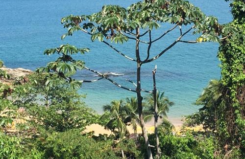 Ilhabela Casa | Propriedade a 80 metros da praia do Curral