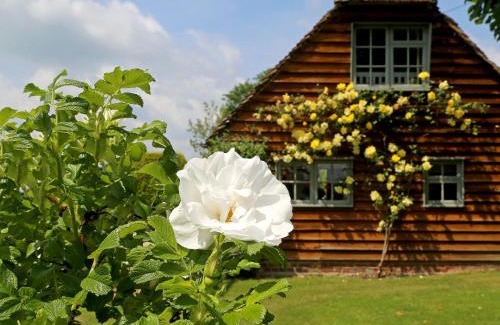 Tenterden Casa | Prospect Cottage