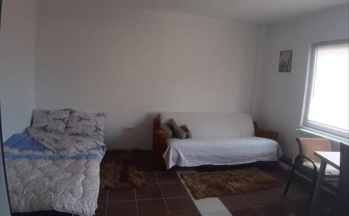 Cacak Apartamento | Prostrani apartman Cacak