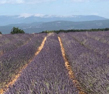 Bonnieux Apartamento | Provence Luberon Bonnieux Location Gite Chez Basile